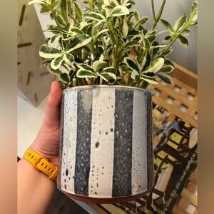 Rejuvenation - Whitney Medium Planter, Striped